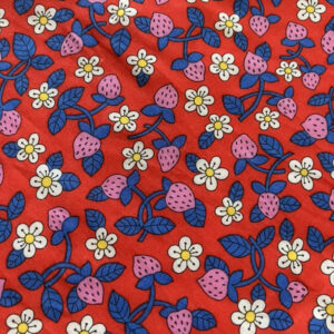 Strawberries And Flowers Bib